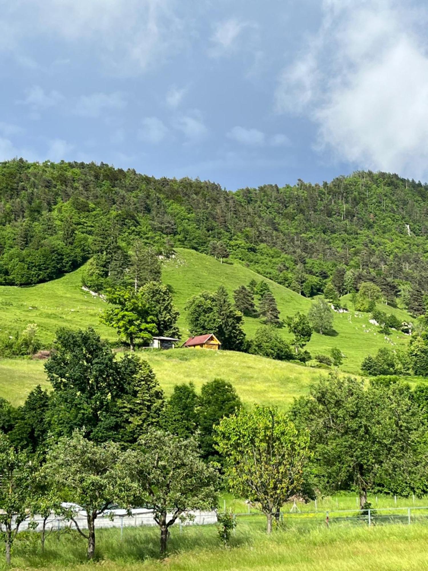 Cottage Zirovnica Kültér fotó