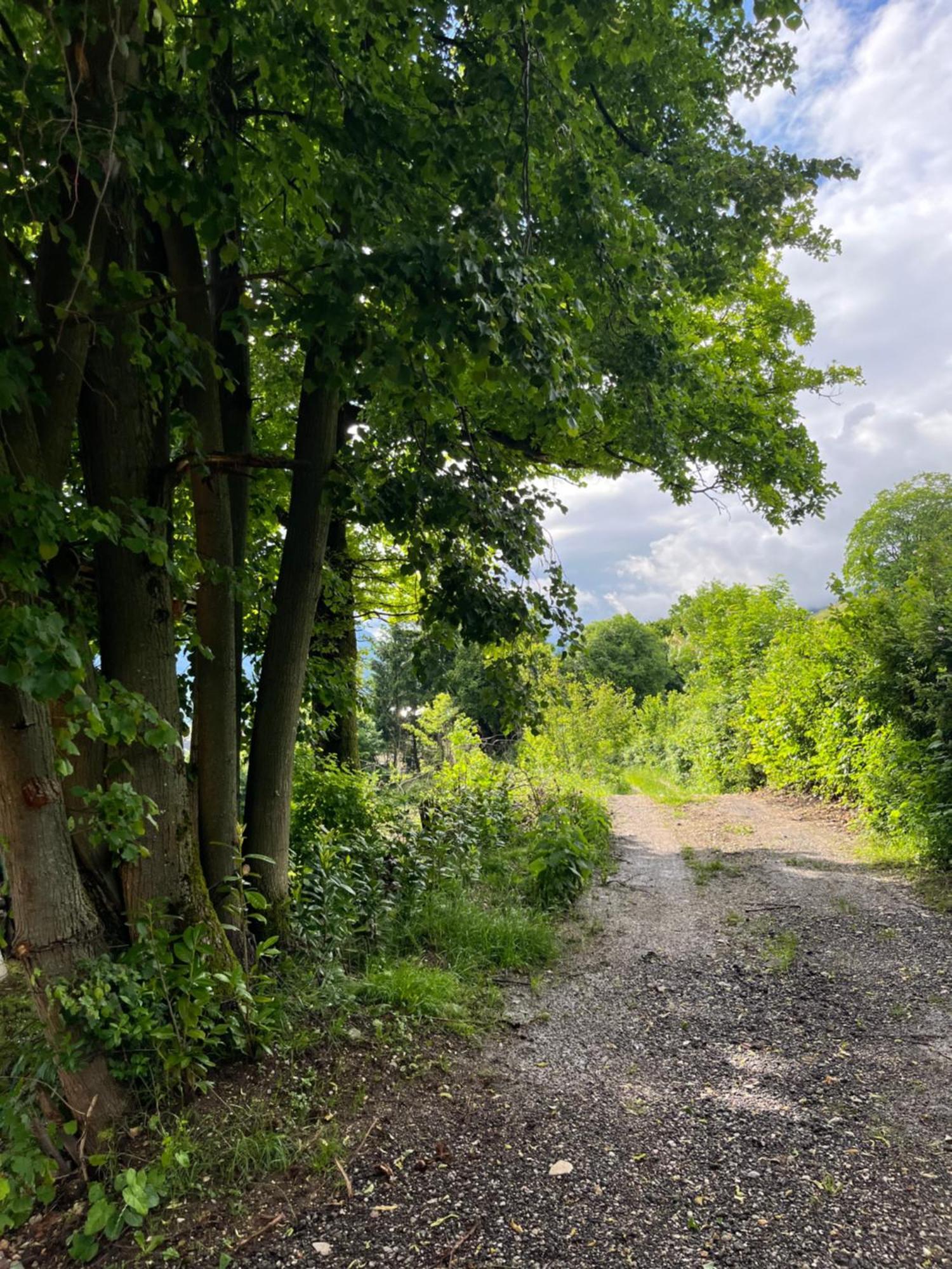 Cottage Zirovnica Kültér fotó